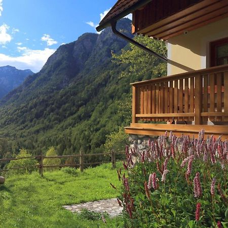 Zadnjica Holiday House Soca Ngoại thất bức ảnh