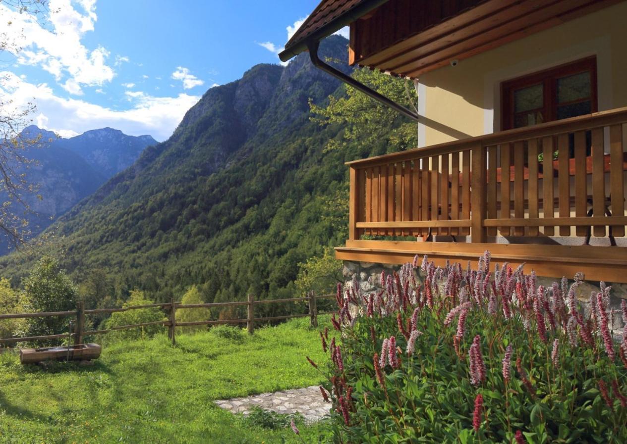 Zadnjica Holiday House Soca Ngoại thất bức ảnh